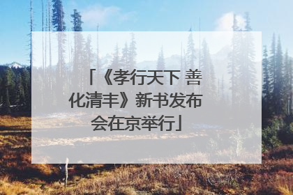 《孝行天下 善化清丰》新书发布会在京举行