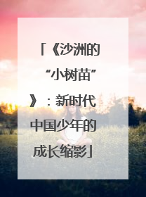 《沙洲的“小树苗”》：新时代中国少年的成长缩影