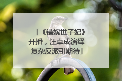 《错嫁世子妃》开播，汪卓成演绎复杂反派引期待
