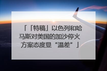「特稿」以色列和哈马斯对美国的加沙停火方案态度显“温差”