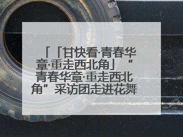 「甘快看·青春华章·重走西北角」“青春华章·重走西北角”采访团走进花舞南山 探寻天水乡村振兴之路