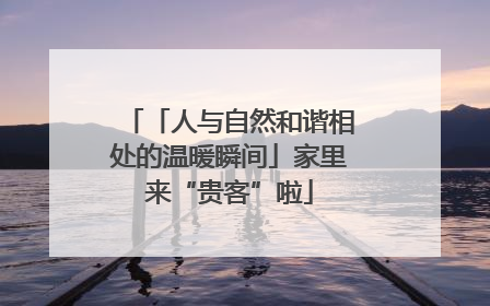 「人与自然和谐相处的温暖瞬间」家里来“贵客”啦
