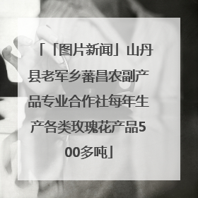 「图片新闻」山丹县老军乡蕃昌农副产品专业合作社每年生产各类玫瑰花产品500多吨