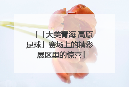 「大美青海 高原足球」赛场上的精彩 展区里的惊喜