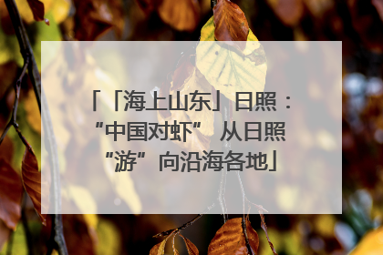 「海上山东」日照：“中国对虾” 从日照“游”向沿海各地