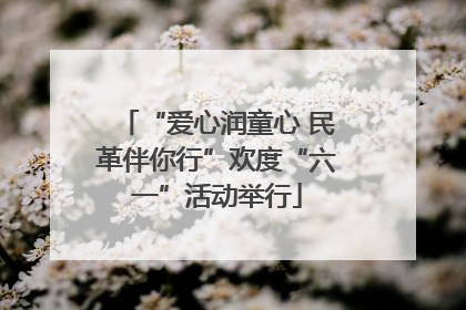 “爱心润童心 民革伴你行”欢度“六一”活动举行