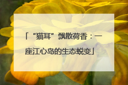 “猫耳”飘散荷香：一座江心岛的生态蜕变