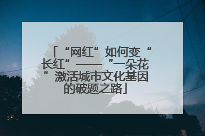 “网红”如何变“长红”——“一朵花”激活城市文化基因的破题之路