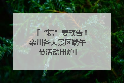 “粽”要预告！栾川各大景区端午节活动出炉