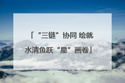 “三链”协同 绘就水清鱼跃“星”画卷