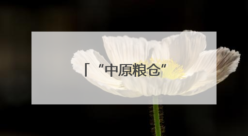 “中原粮仓”河南麦收过半