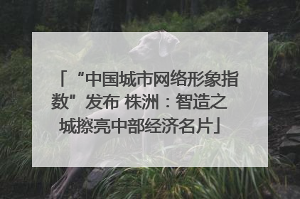 “中国城市网络形象指数”发布 株洲：智造之城擦亮中部经济名片