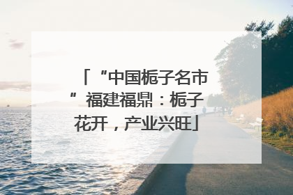 “中国栀子名市”福建福鼎：栀子花开，产业兴旺