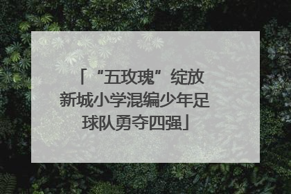 “五玫瑰”绽放 新城小学混编少年足球队勇夺四强