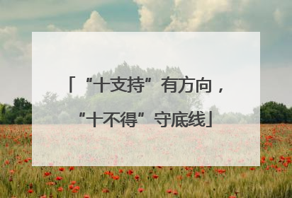 “十支持”有方向，“十不得”守底线