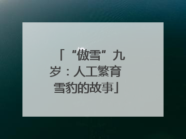 “傲雪”九岁：人工繁育雪豹的故事