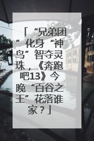 “兄弟团”化身“神鸟”智夺灵珠，《奔跑吧13》今晚“百谷之王”花落谁家？
