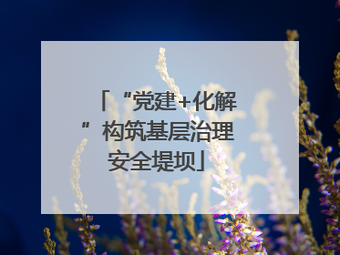 “党建+化解”构筑基层治理安全堤坝