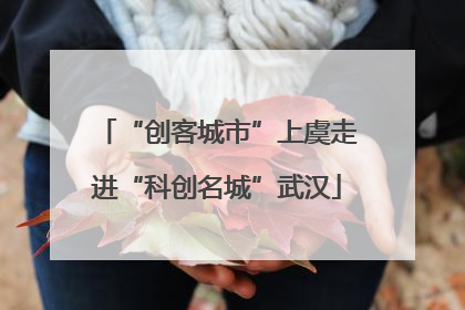 “创客城市”上虞走进“科创名城”武汉