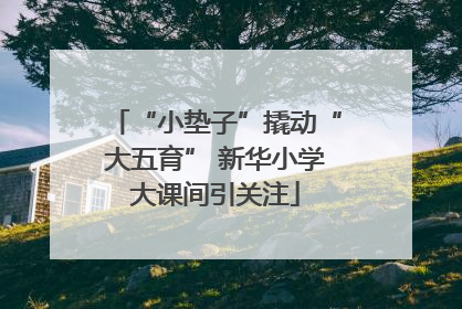 “小垫子”撬动“大五育” 新华小学大课间引关注