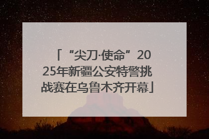 “尖刀·使命”2025年新疆公安特警挑战赛在乌鲁木齐开幕