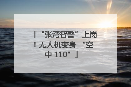 “张湾智警”上岗！无人机变身 “空中 110”