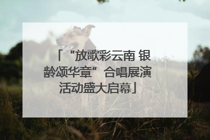 “放歌彩云南 银龄颂华章”合唱展演活动盛大启幕