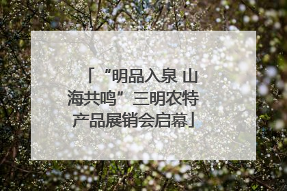 “明品入泉 山海共鸣”三明农特产品展销会启幕