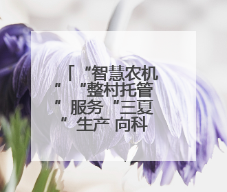 “智慧农机”“整村托管”服务“三夏”生产 向科技要产能筑牢丰产基础