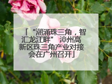 “潮涌珠三角，智汇龙江畔” 漳州高新区珠三角产业对接会在广州召开