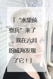 “水果侦察兵”来了，我在六月的威海发现了它！