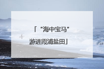 “海中宝马”游进霞浦盐田