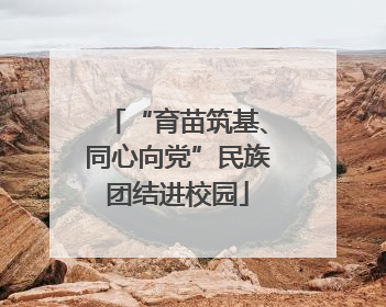 “育苗筑基、同心向党”民族团结进校园