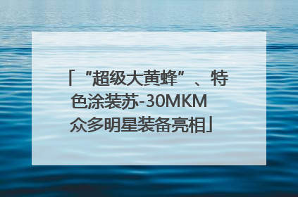“超级大黄蜂”、特色涂装苏-30MKM 众多明星装备亮相