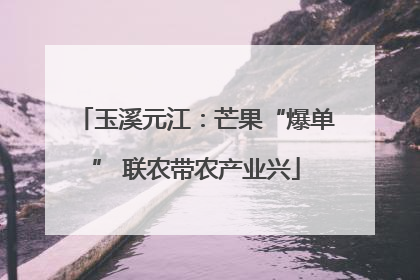 玉溪元江：芒果“爆单” 联农带农产业兴
