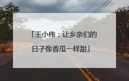 王小伟：让乡亲们的日子像香瓜一样甜