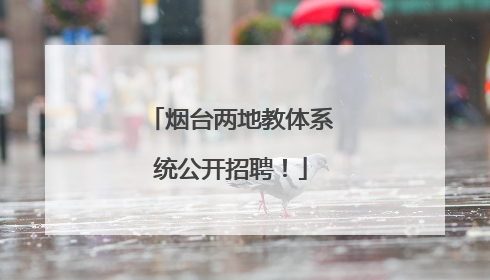 烟台两地教体系统公开招聘！