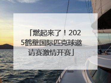 燃起来了！2025鹤壁国际匹克球邀请赛激情开赛