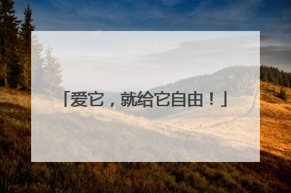 爱它，就给它自由！