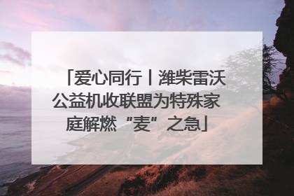 爱心同行丨潍柴雷沃公益机收联盟为特殊家庭解燃“麦”之急