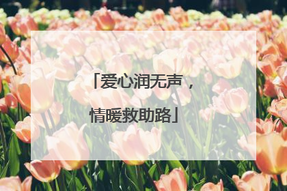 爱心润无声，情暖救助路