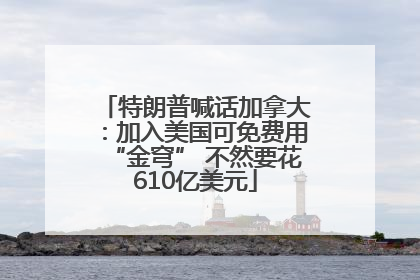 特朗普喊话加拿大：加入美国可免费用“金穹” 不然要花610亿美元