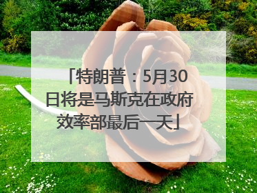 特朗普：5月30日将是马斯克在政府效率部最后一天