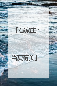 石家庄：当夏荷美