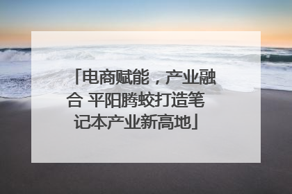 电商赋能，产业融合 平阳腾蛟打造笔记本产业新高地