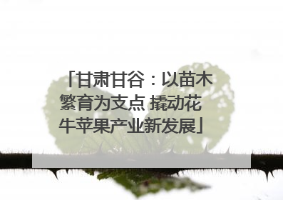 甘肃甘谷：以苗木繁育为支点 撬动花牛苹果产业新发展