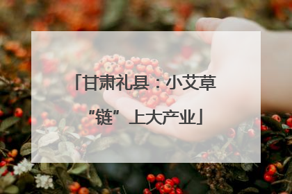 甘肃礼县：小艾草“链”上大产业