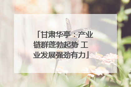 甘肃华亭：产业链群蓬勃起势 工业发展强劲有力
