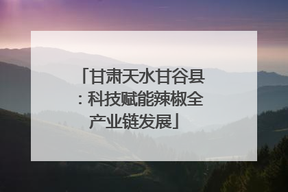 甘肃天水甘谷县：科技赋能辣椒全产业链发展