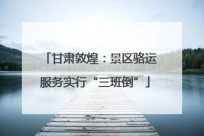 甘肃敦煌：景区骆运服务实行“三班倒”